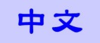中文